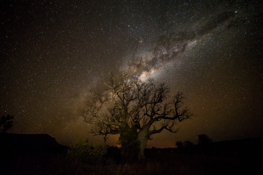 f7ce912856f725f61aee1e265dff38217b8bf0bc